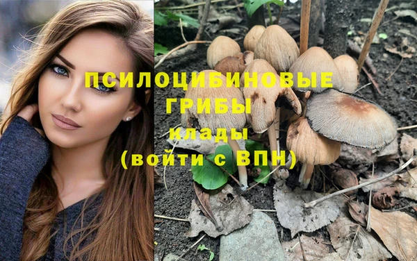 PSILOCYBIN Зеленокумск